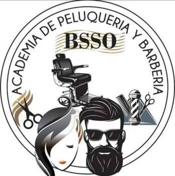 Academia BSSO