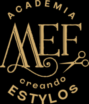 ACADEMIA MEF 